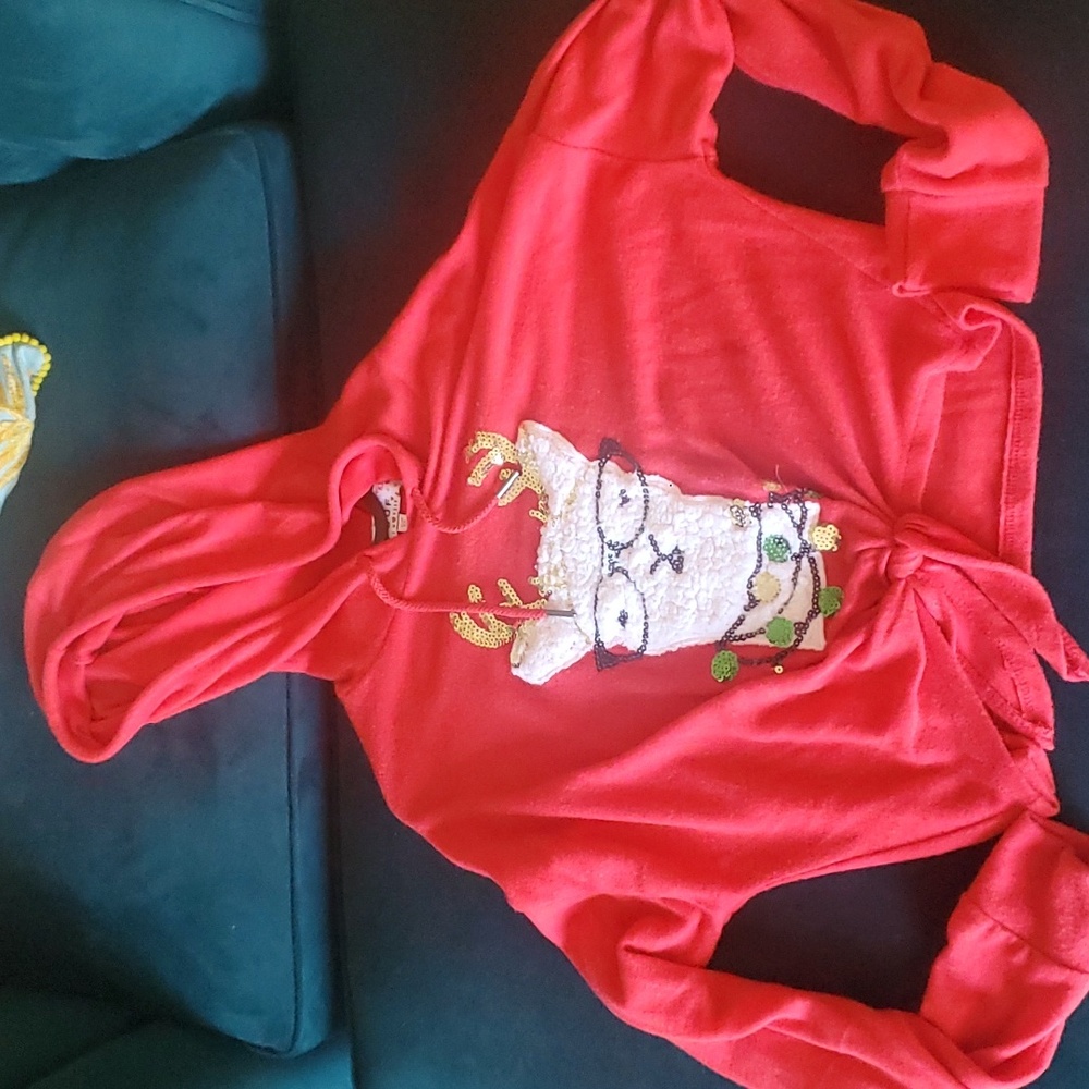 Hooded Christmas Llama shirt